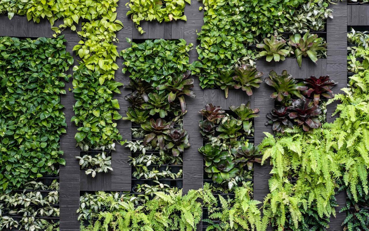 hero_services_projects